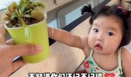 萌娃爆料父母尴尬事情视频,视频走红网络引网友热议